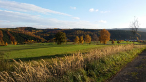 Ofi_Wiese_1000